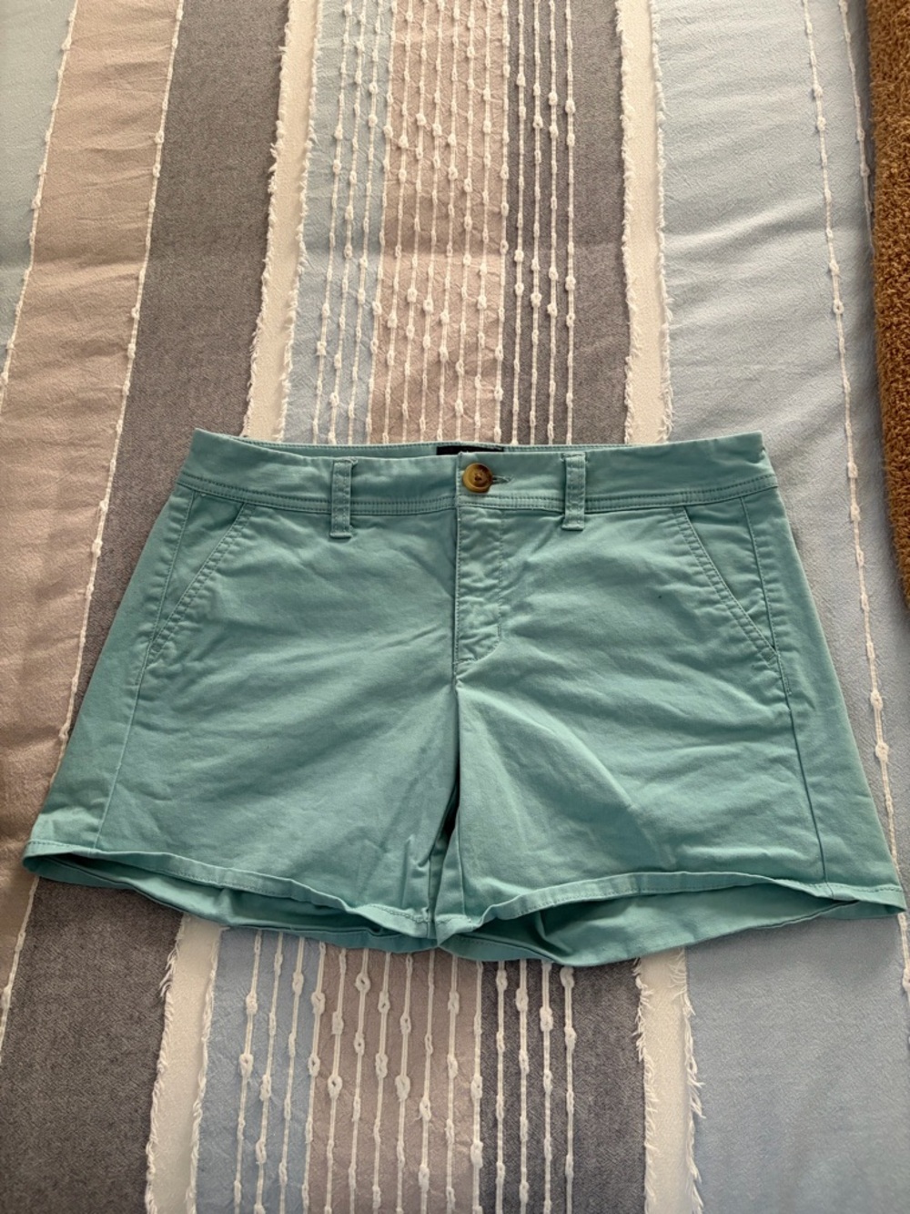 American Eagle Outfitters Mint Green Cotton Chino Shorts